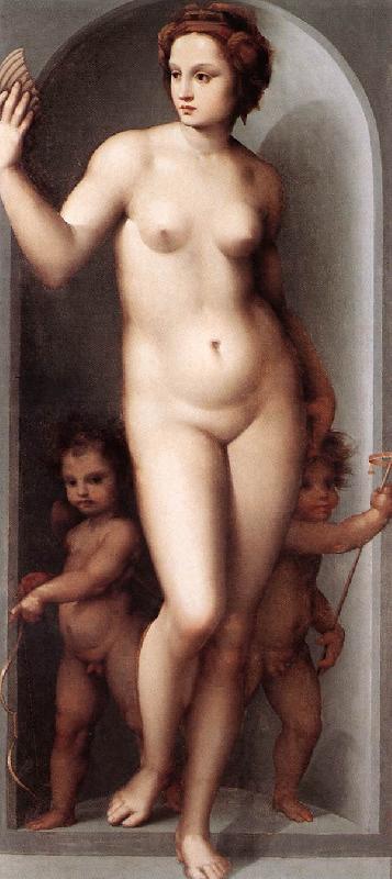 BRESCIANINO, Andrea del Venus and Two Cupids dsf oil painting picture